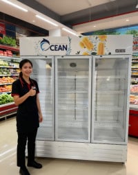 ទូរទឹកកក#ទូរទឹកកក#freezer0965226627