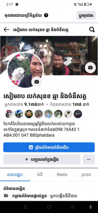 កសិដ្ឋានក្នុងស្រុក Farm dog's