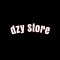 dzy store
