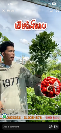 ពូ ស្នារ