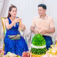 តារា ហ្វូន