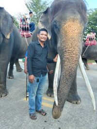 ពៅ អុីប ពៅ