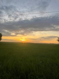 អ្នកលេង ជើងខ្មែ