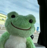 Creator.pro.max @TikTok