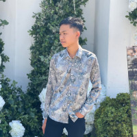 ទី ផាននីន់