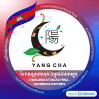 YANG CHA Branding
