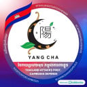 YANG CHA Branding