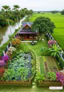 ម្ចាស់ផ្ទាល់