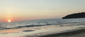 Kumachi bito online Shop