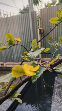 នន្ទ ទិត្យានន្ទ