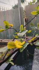 នន្ទ ទិត្យានន្ទ