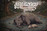 កូន ដំរី