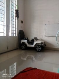 ភត្រា ម៉ាប់