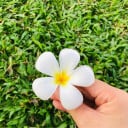 H.E Investment co.,ltd