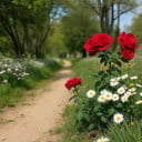 ស្រី មុំ