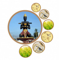 អង្ករ សុខភាព