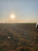 ប៊ុន ធឿន bunthorn080