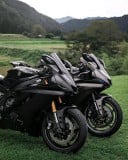 Hea Leng ​ 011373335