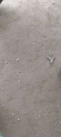 MRR Manith007លក់គ្រឿងសម្ភារៈកាស់ស្តាប់គ្រប់ប្រភេទនិងទូរស្ទព៍ដៃ