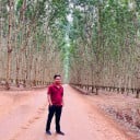 ទេសចរណ៍ ស្រុកស្រែ