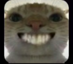 សំឡូត បូលីន