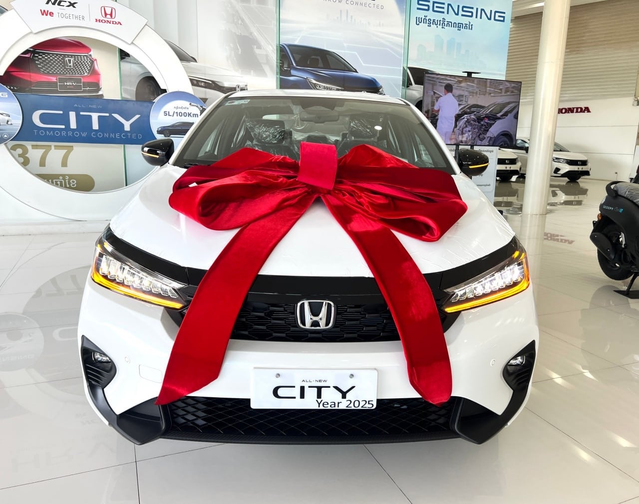 HONDA PPH_Youlong