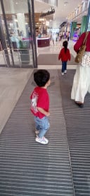 ដើមមៀន កោះក្របី