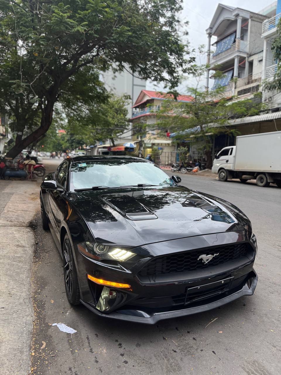 Nak Mustang