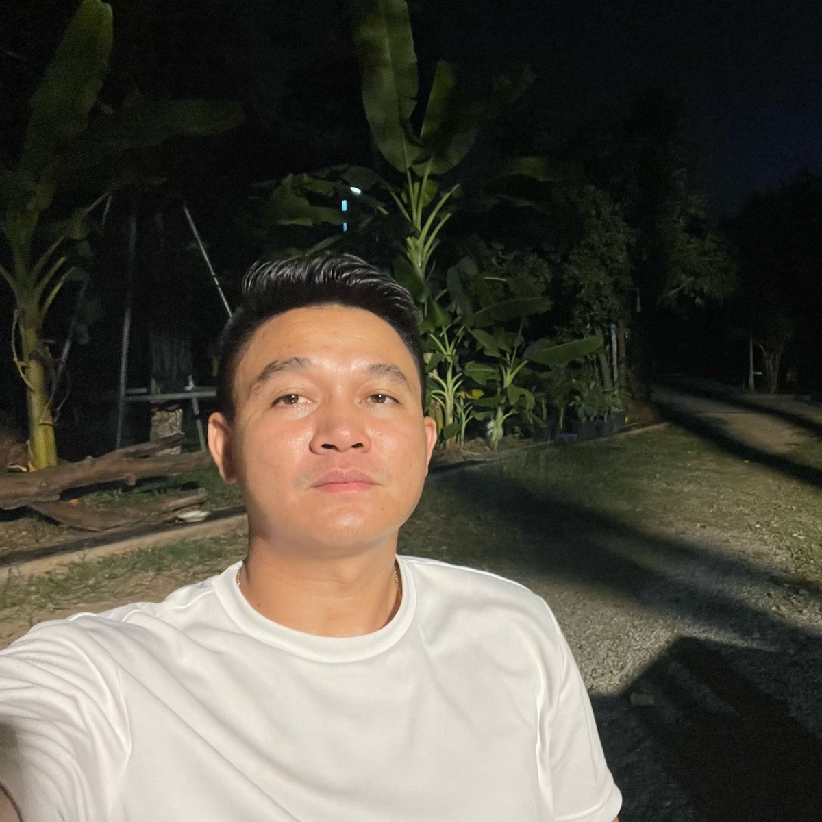 Pov Bro