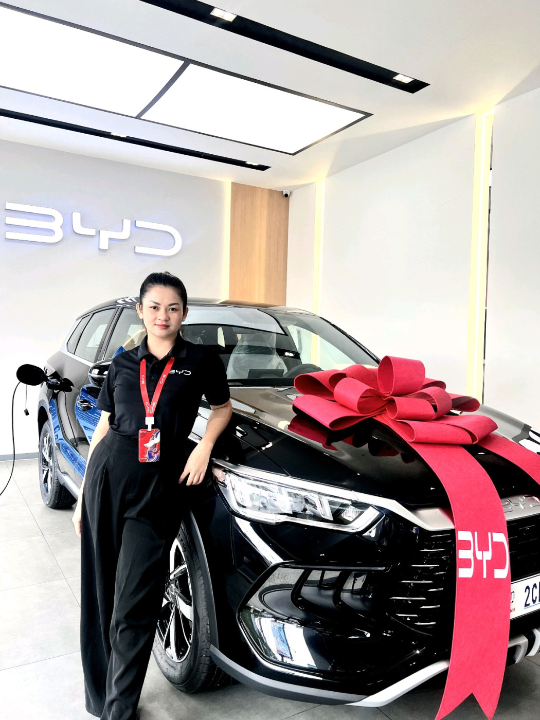 BYD Vanna