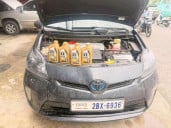 Car Dealer Ptn