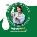 ថ្នាំបាញ់រុយ ដេលី