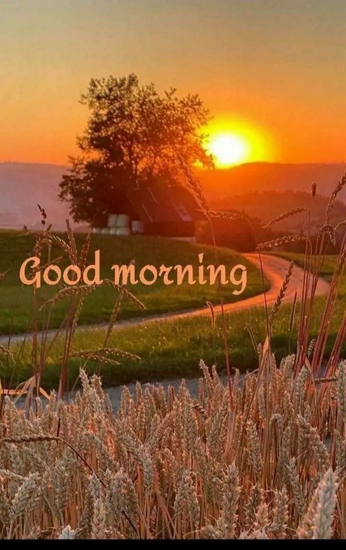 ដេវីដ ឈឿន