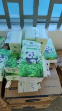 little panda