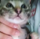 BO NA