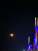 Fii