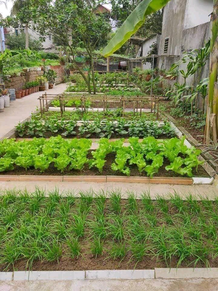 ផុន ច័ន្ទតារារាជ