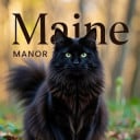 Maine Manor