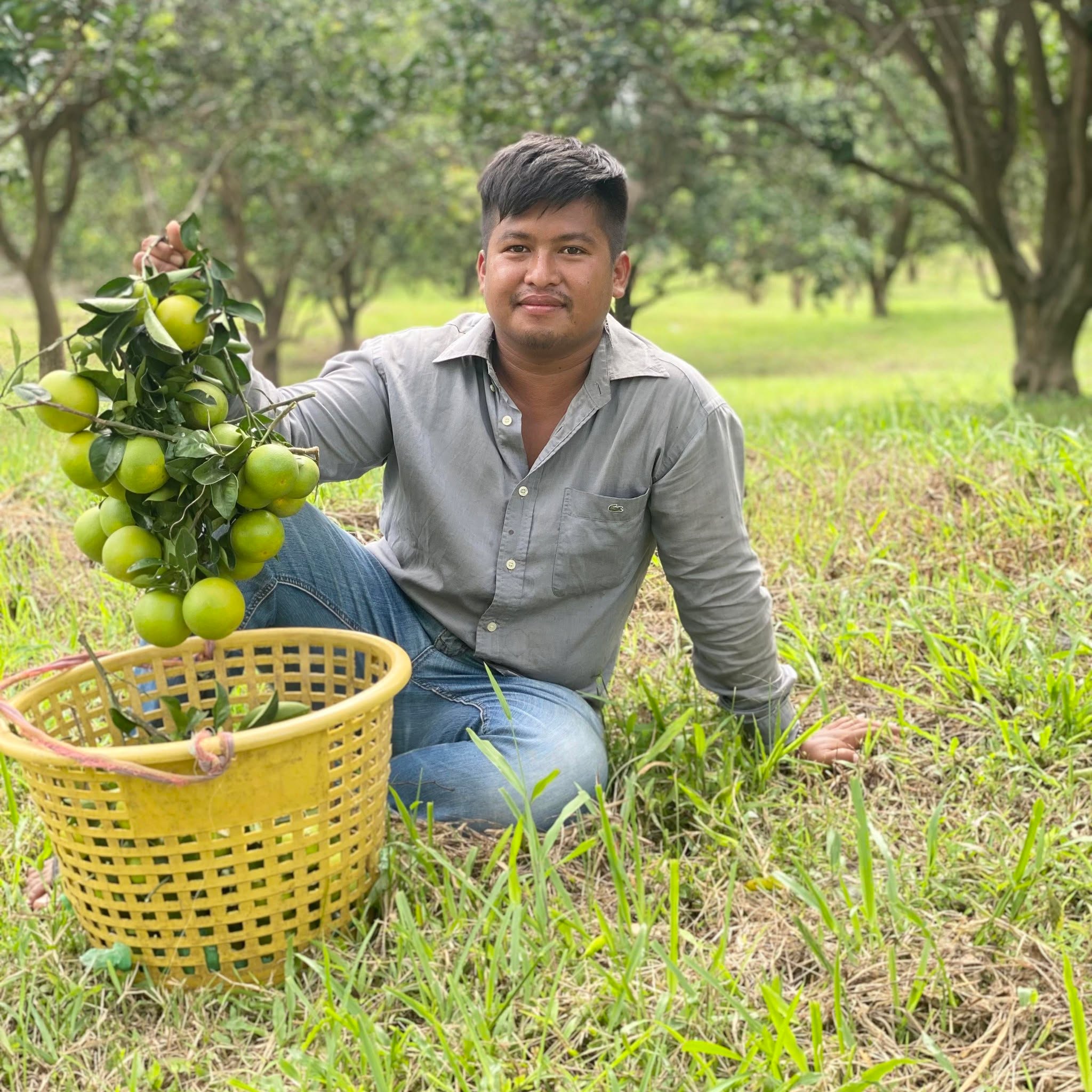 ប៉ាវ លក់ក្រូច