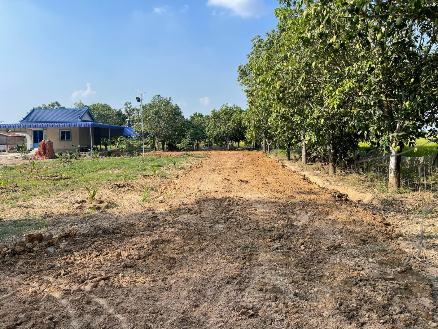 ដីមាស Kh (Takéo province)