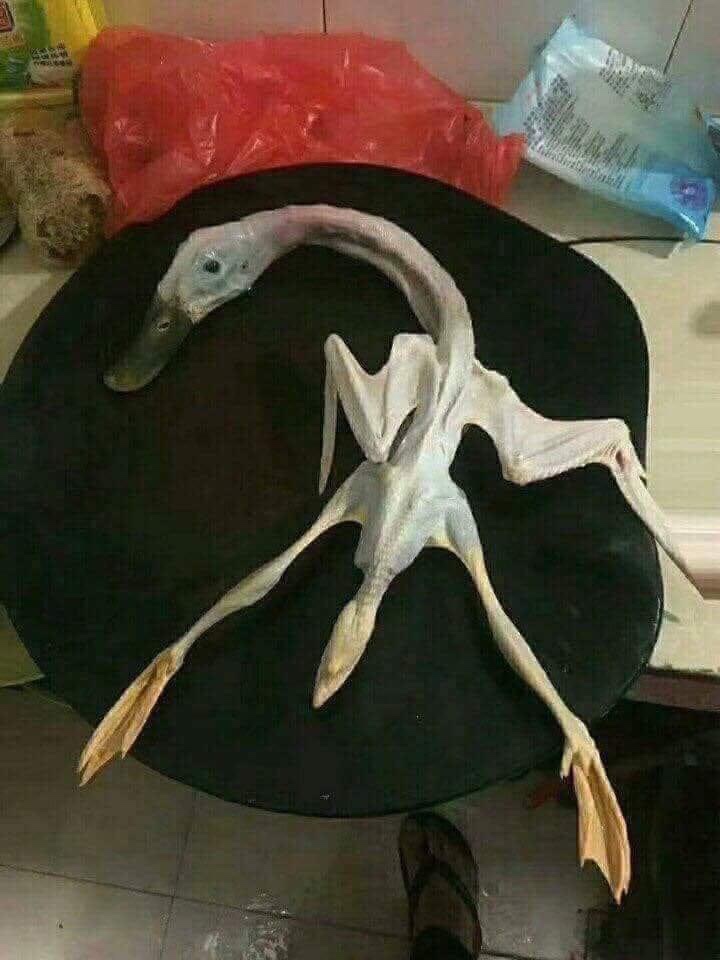 ហេងៗ