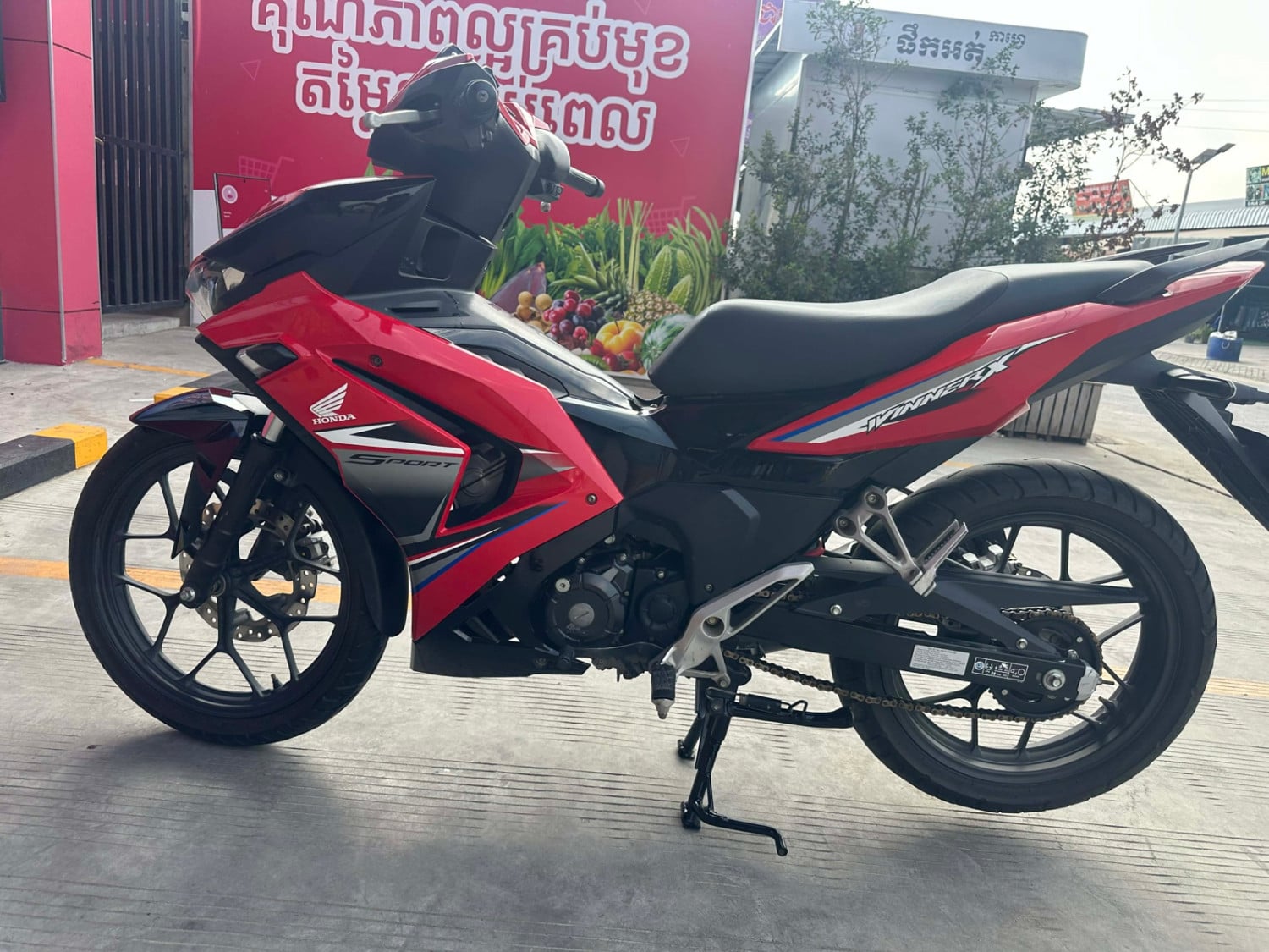 បក្សី ស្លាបមាស