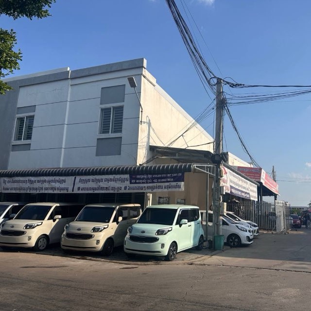 Option Korea