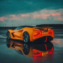 Shelby Sila