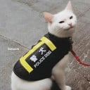Nak Nak