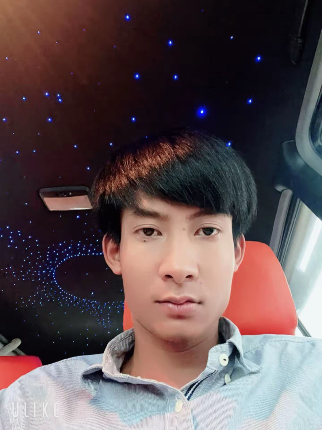 Sok trea