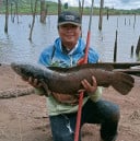 ស្មោះ