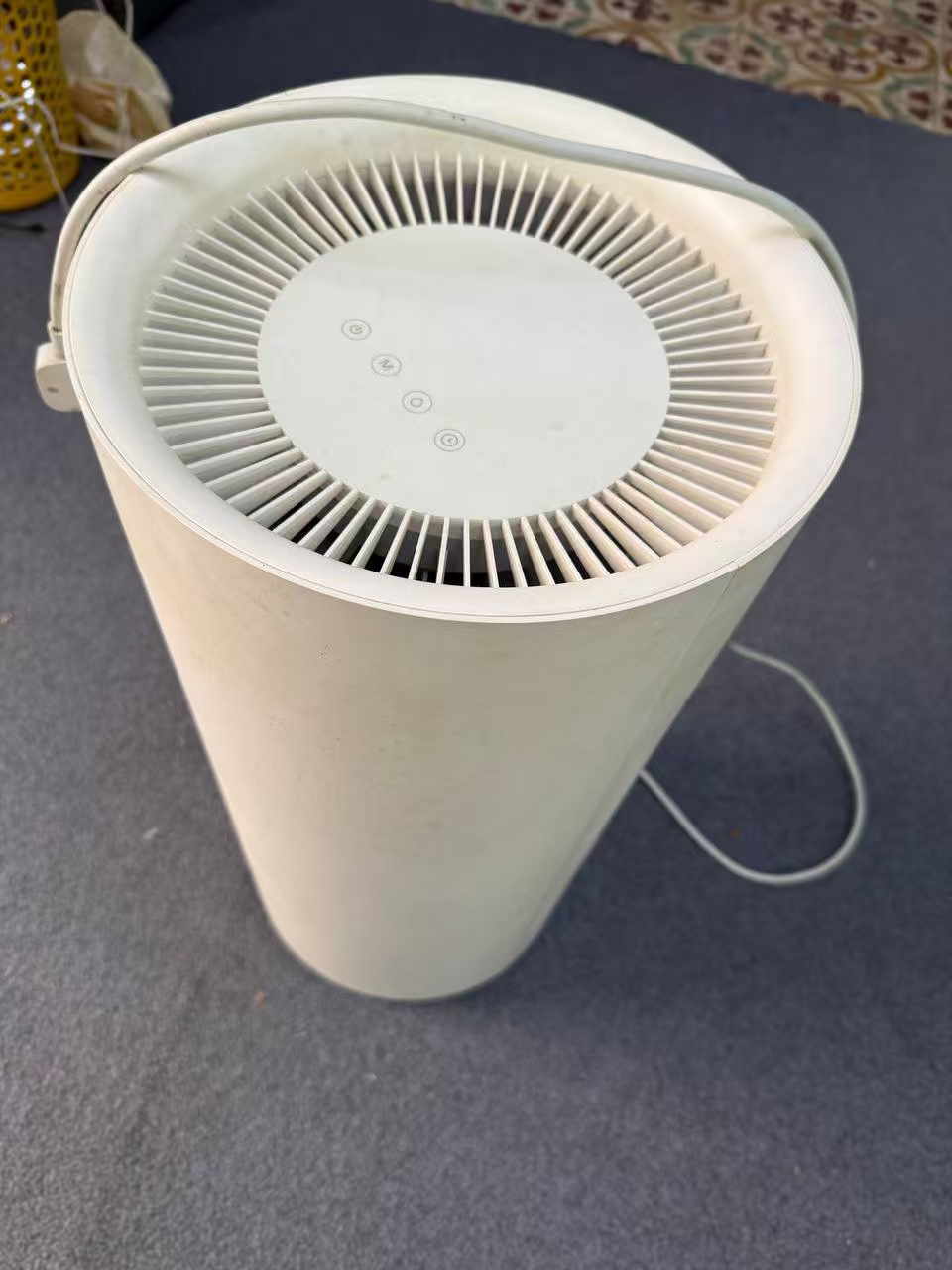 小孩 龙之