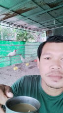 ពូឡូត លក់មាន់ជល់