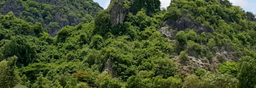 siengheng Pho